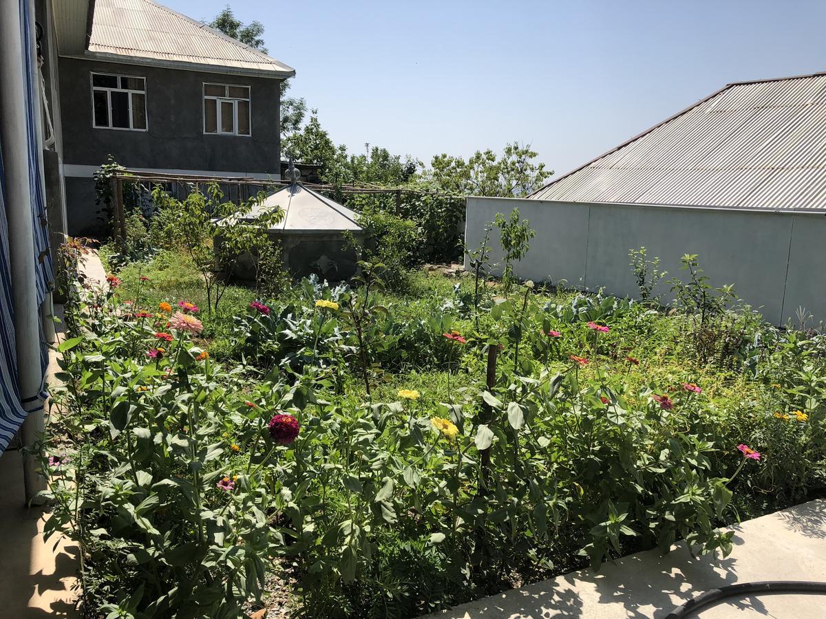 Bed and Breakfast Shaki Host House Şǝki Exterior foto